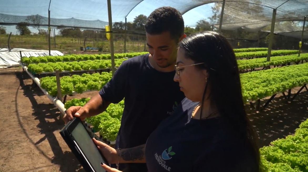 Hidroponia transforma jovens em MT e fortalece a agricultura familiar