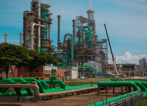 Combustível; Petrobras