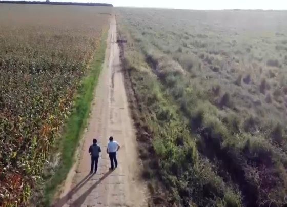 Foto: Pedro Silvestre