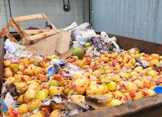 frutas impróprias para consumo