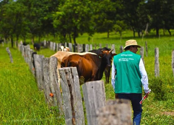 sistema s, assistência técnica e gerencial do senar