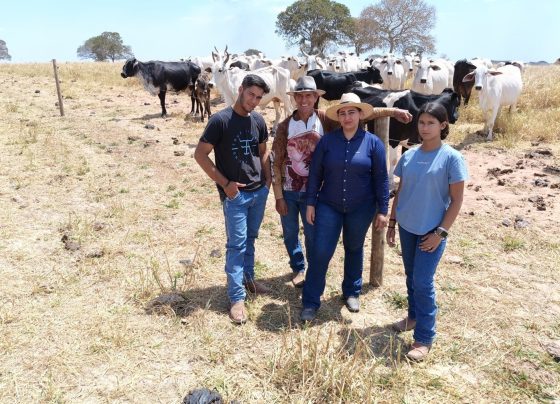 senar transforma ateg pecuaria foto israel baumann canal rural mato grosso
