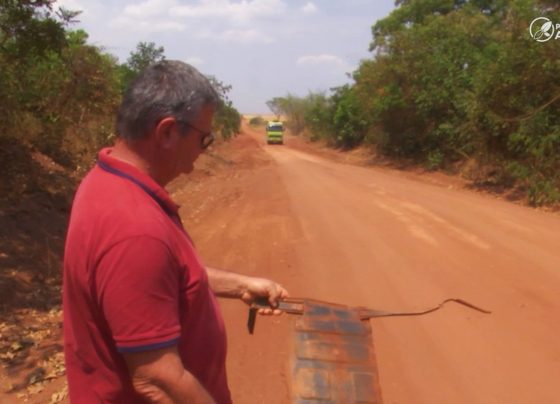 MT-140 Juscimeira foto pedro silvestre canal rural mato grosso2