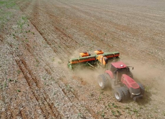 Plantio soja foto pedro silvestre Canal Rural Mato Grosso1
