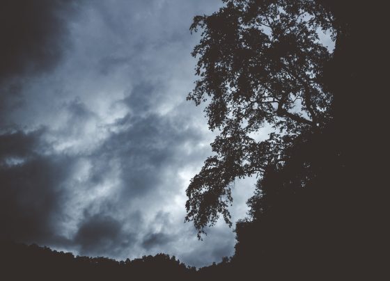 Você quer entender como usar o clima a seu favor? Preparamos um e-book exclusivo para ajudar produtores rurais a se antecipar às mudanças do tempo e planejar melhor suas ações. Com base em previsões meteorológicas confiáveis, ele oferece orientações práticas para proteger sua lavoura e otimizar seus resultados.