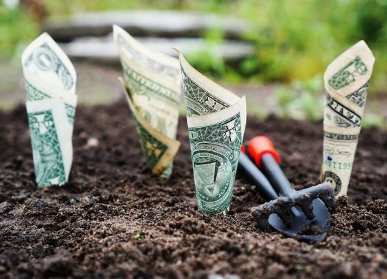 dinheiro, EUA, Estados Unidos, dólar - bancos - taxa do agro