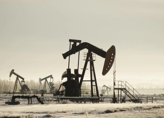petróleo
