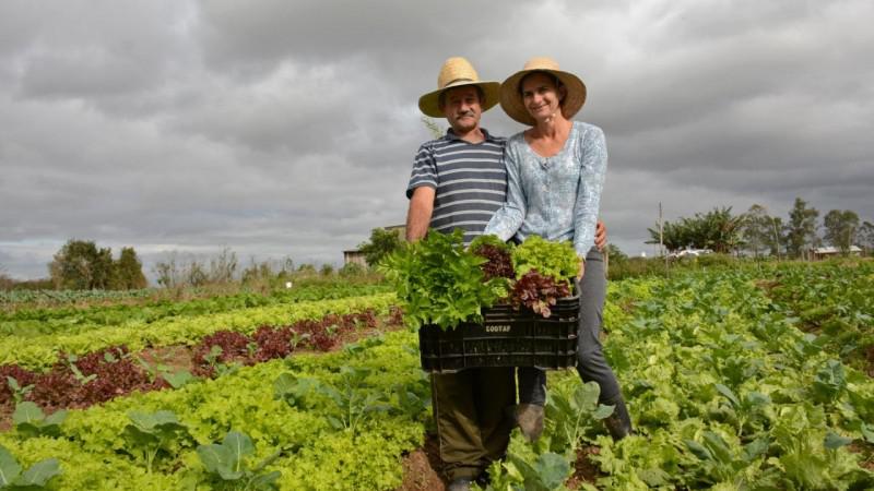 Qual é o maior desafio da agricultura familiar hoje?