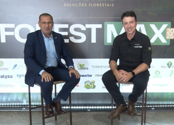 Pedro Francio eucalipto