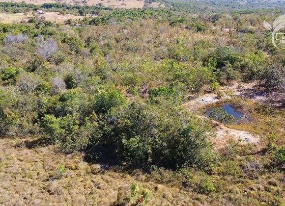 MT Sustent&aacute;vel CAR Digital Hidrografia Foto Israel Baumann Canal Rural Mato Grosso2
