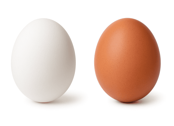 Qual é melhor: ovo branco ou vermelho? Entenda a diferença