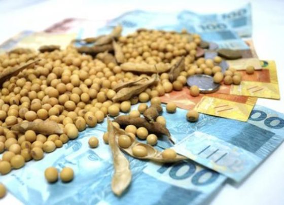 dinheiro soja - preços de alimentos - fao - produtos do agro