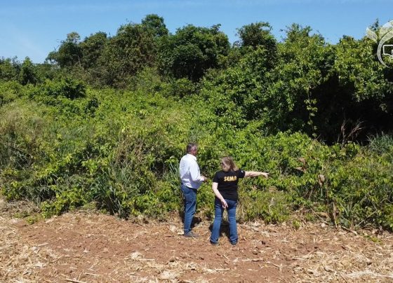 MT Sustent&aacute;vel &aacute;rea consolidada CAR Digital foto Israel Baumann Canal Rural Mato Grosso2