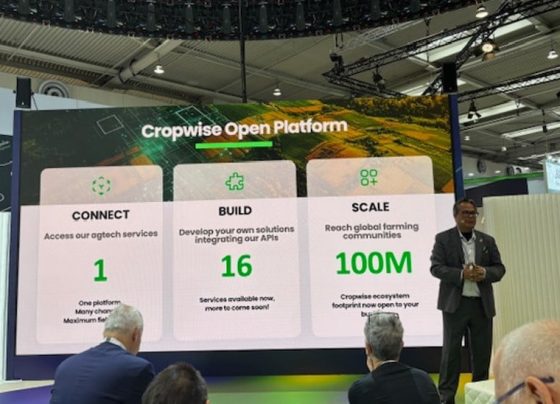 foto empresa Syngenta