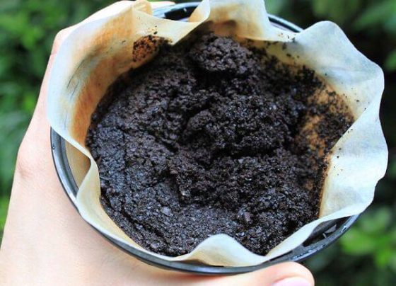 Exportadora Guaxupé