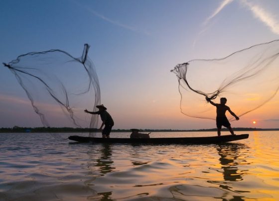 pescadores, emalhe, pescador