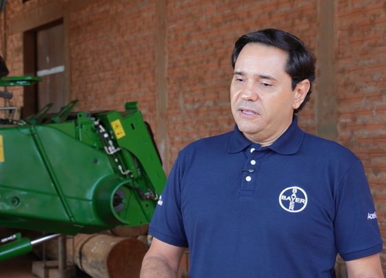 direto ao ponto Luiz M&aacute;rcio Bernardes bayer foto israel baumann canal rural mato grosso