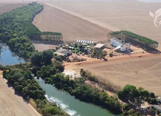 MT Sustent&aacute;vel CAR Digital especial desmembramento Foto Israel Baumann Canal Rural Mato Grosso1
