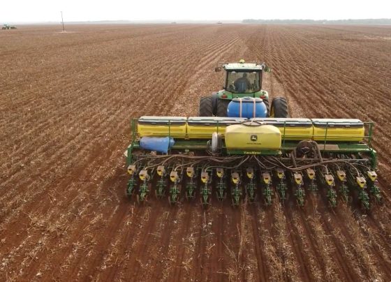 plantio soja foto pedro silvestre canal rural mato grosso