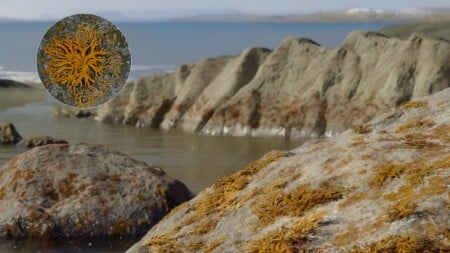 Paleoarte apresenta a provável aparência do líquen