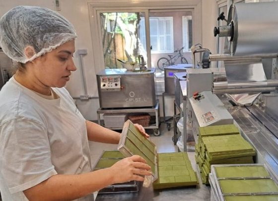 Versatilidade da erva-mate ganha espaço na indústria do Rio Grande do Sul