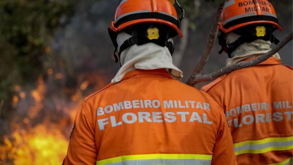 Período proibitivo do uso do fogo na Amazônia e Cerrado queimadas Foto: Corpo de Bombeiros de Mato Grosso