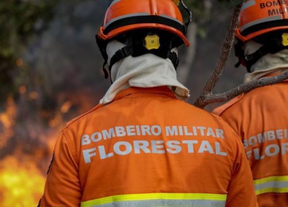 Período proibitivo do uso do fogo na Amazônia e Cerrado queimadas Foto: Corpo de Bombeiros de Mato Grosso