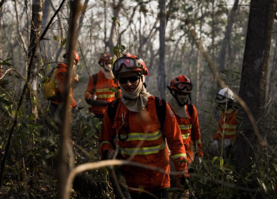 bombeiros mato grosso focos de calor queimadas Christiano Antonucci - Secom-MT