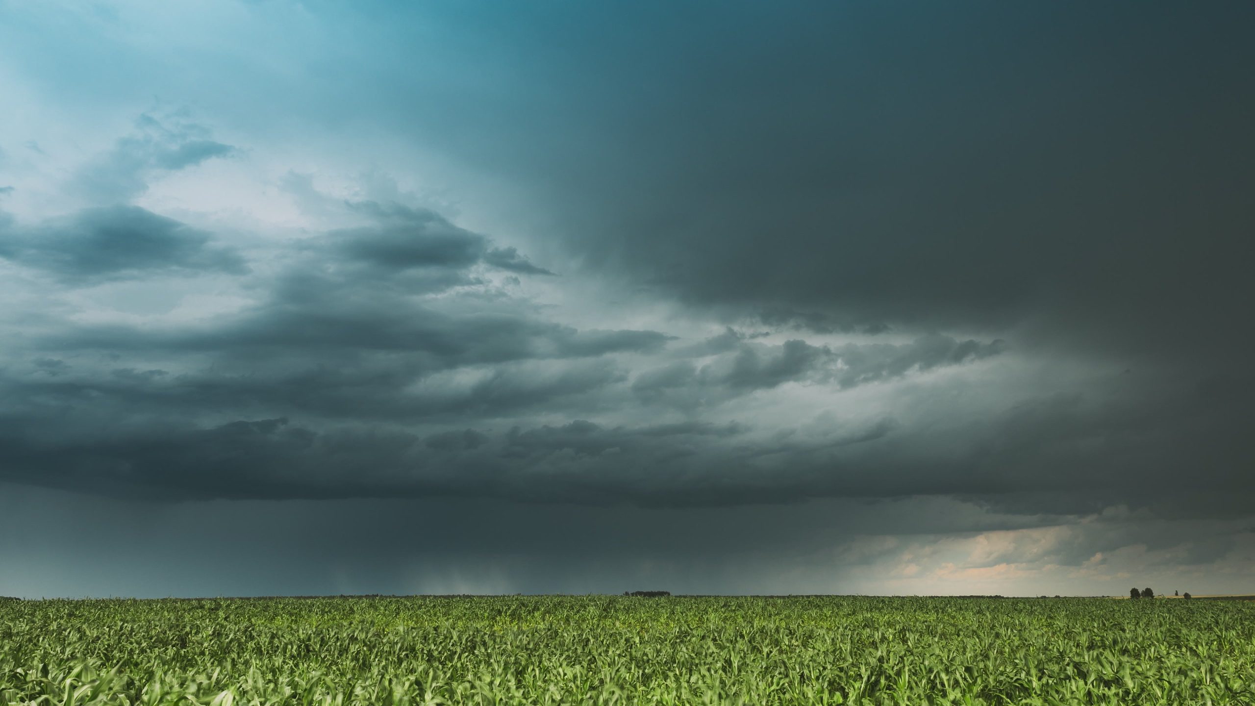 Véspera de Natal será marcada por chuva e ventos de até 100 km/h