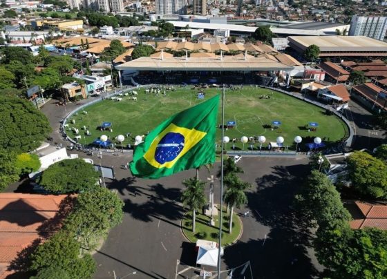 ExpoZebu