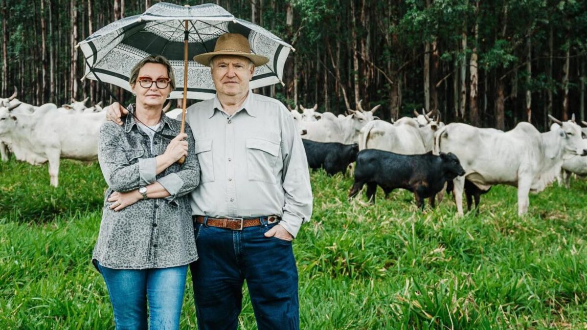Angus Quer Educar Consumidor para Carne Premium em Escala