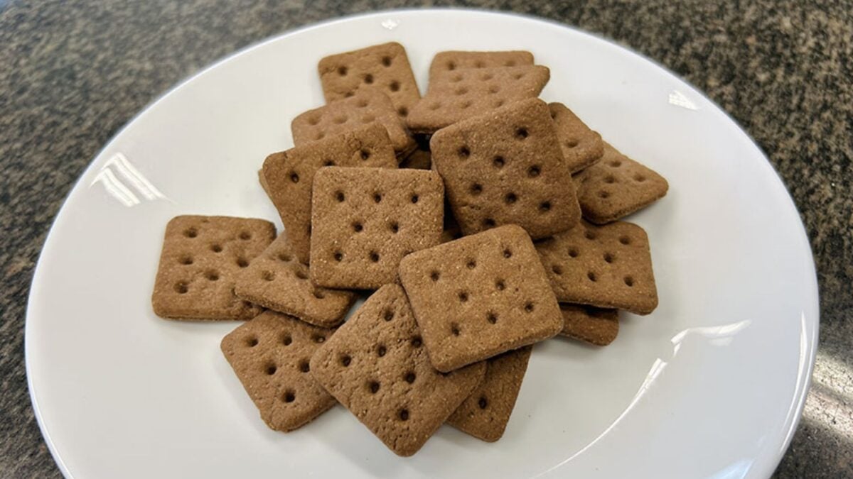 Biscoito à Base de Inseto? Estudo Aponta as Estratégias para o Consumidor Vencer o Nojo