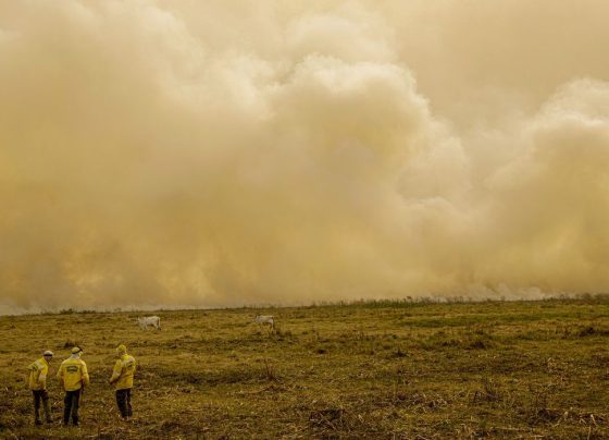 calor e incêndios