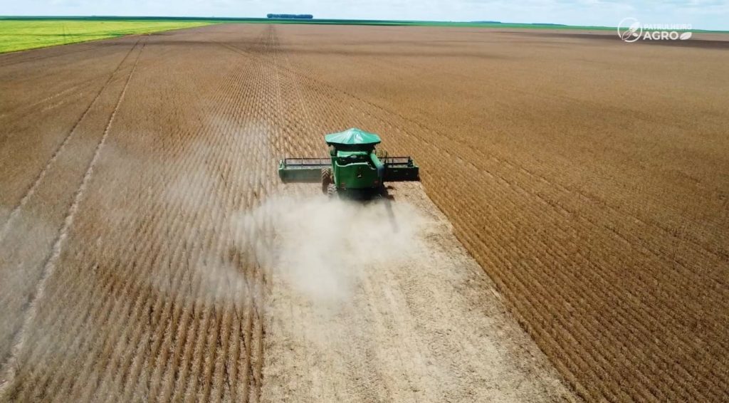 colheita soja sapezal campos de júlio foto pedro silvestre canal rural mato grosso1