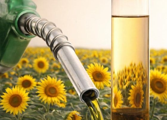 biocombustíveis