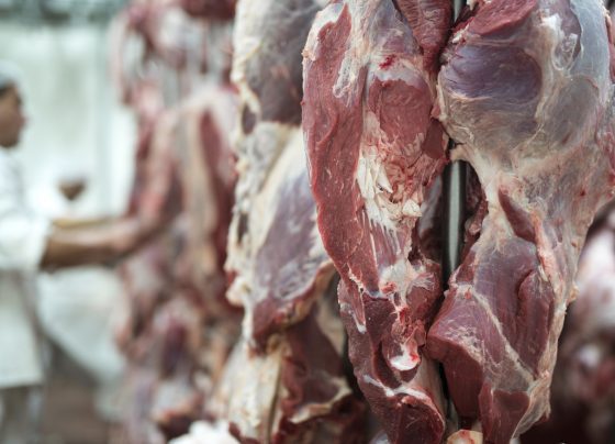 carne bovina frigoríficos