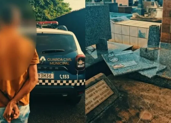 Desaparecido danificou túmulos do cemitério - (Foto: divulgação/GCM)