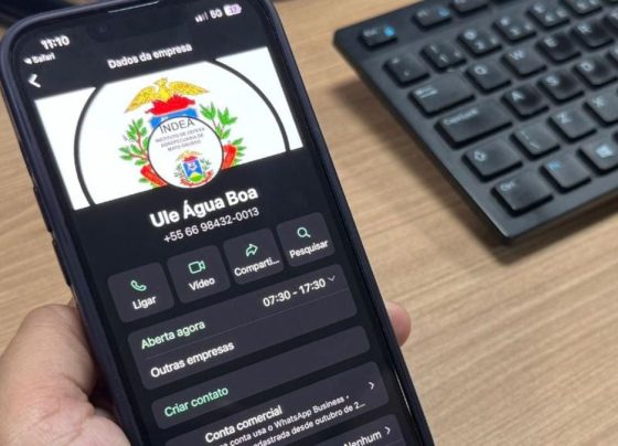 Indea-MT lança atendimento via WhatsApp em todas as unidades de Mato Grosso