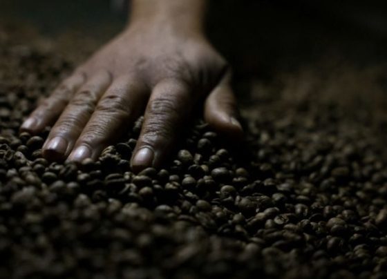 Indústria de Café Solúvel Pede Isenção de Tarifa de 50% Mantida Pelos EUA