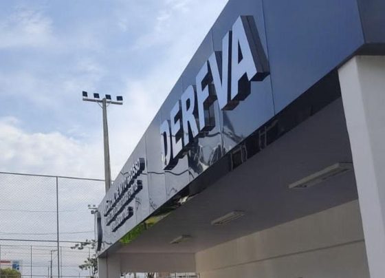 Polícia Civil de Mato Grosso DERFVA foto divulgação polícia civil