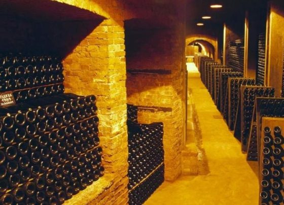 Vinícola Coppo: Por dentro das Catedrais Subterrâneas da UNESCO