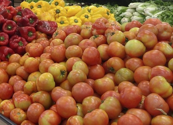 tomate, supermercado, frutas, legumes, verduras, rastreabilidade, consumo