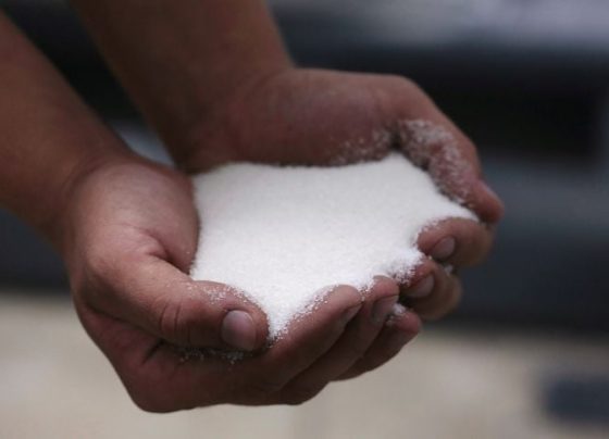 Produção de Açúcar no Centro-sul Recua 14,9% na Última Quinzena de Dezembro