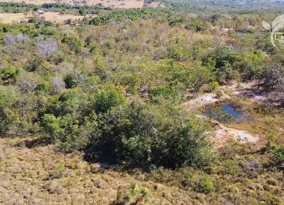 MT Sustentável CAR Digital Hidrografia Foto Israel Baumann Canal Rural Mato Grosso2