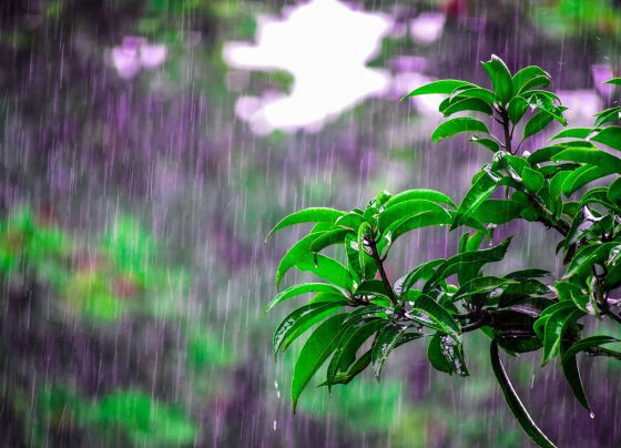 chuva tempestade clima previsão do tempo