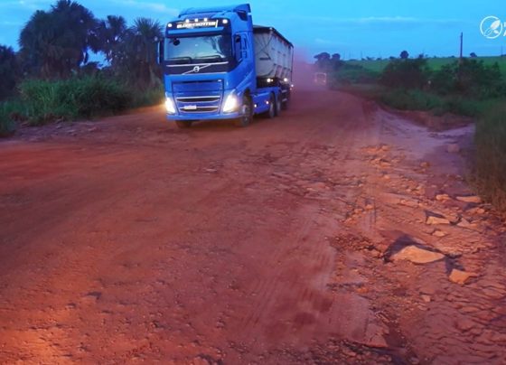 br-174 juína foto pedro silvestre canal rural mato grosso