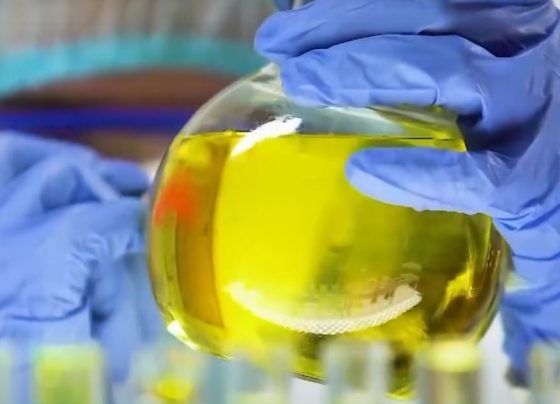 biocombustível - biocombustíveis