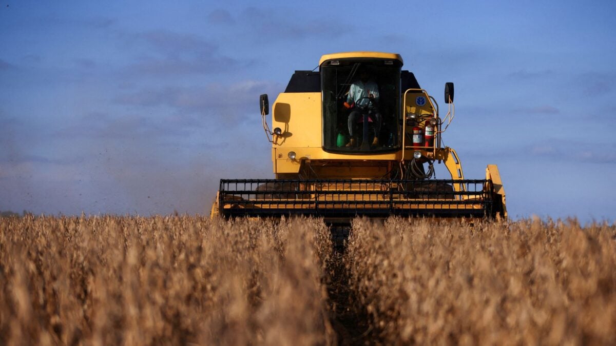 Colheita de Soja no Paraná Alcança 14% da Área sob Atraso Histórico
