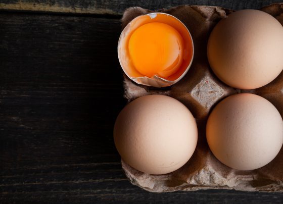 Ovos, gema, alimentação