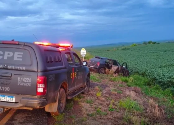 Carro utilizado pela dupla foi parar no meio do pasto - (Foto: divulgação/PM)